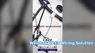 KBZE 1006889780 WEICHAI WP13 CABLAGGIO MOTORE PER LGMG SANY XCMG TONLY MINING Dump Truck